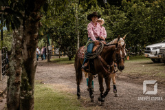 AFO0684
